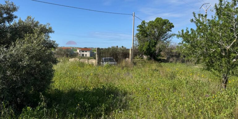 2025051592548-948739-27