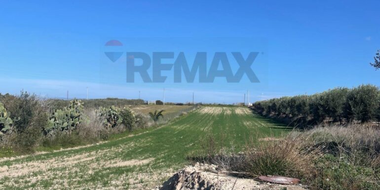 20250516104113-949430-5