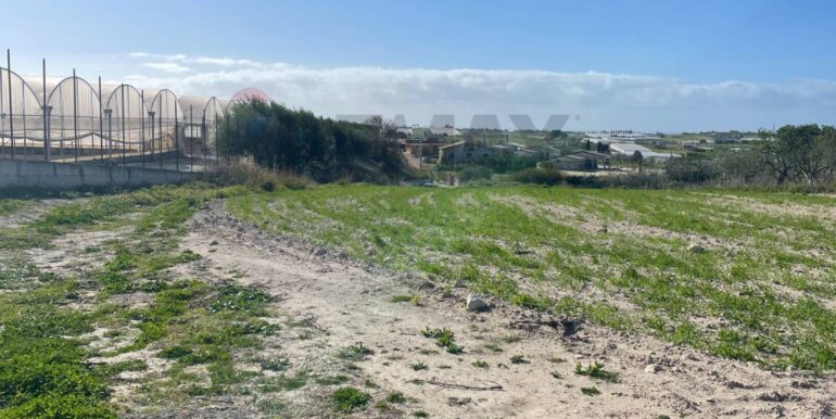 20250516104115-949430-6