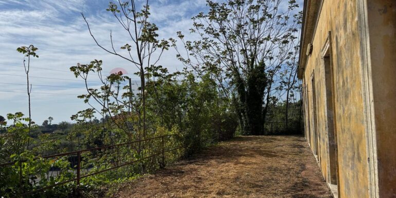 20250516105152-949434-5