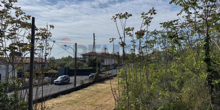 20250516105156-949434-7