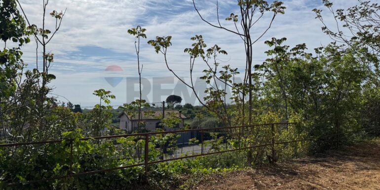 20250516105157-949434-8