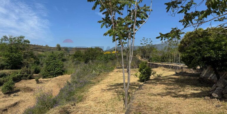 20250516105211-949434-16