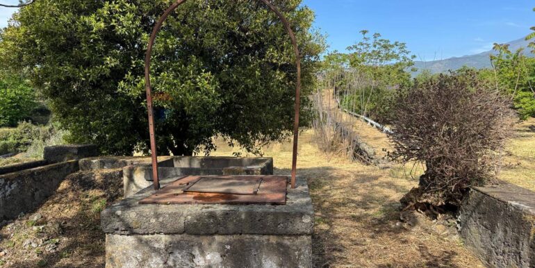 20250516105216-949434-19