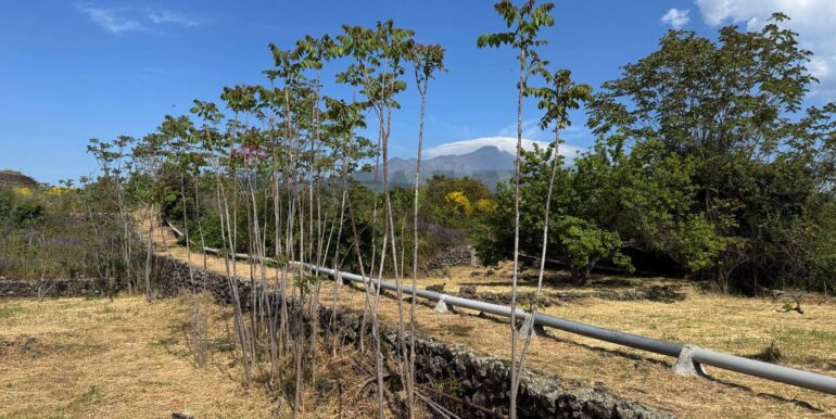 20250516105218-949434-20