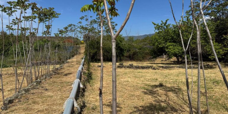 20250516105220-949434-21