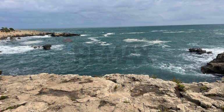 20250519104944-949891-8