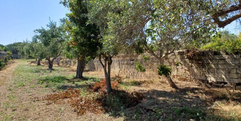 20250519162757-946998-11