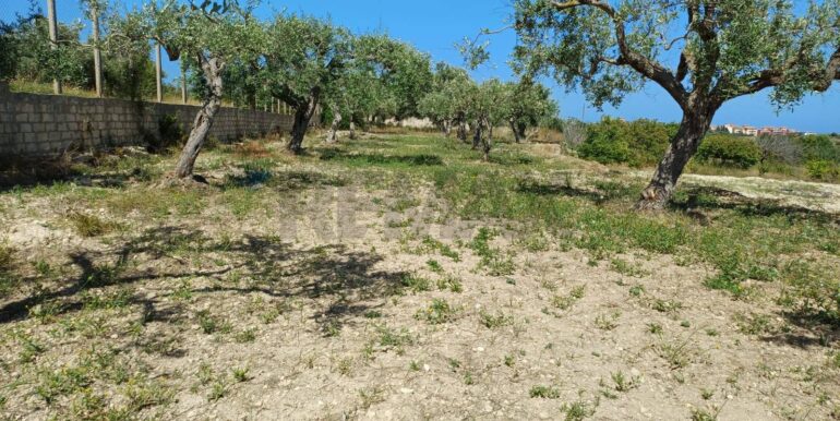 20250519162800-946998-12