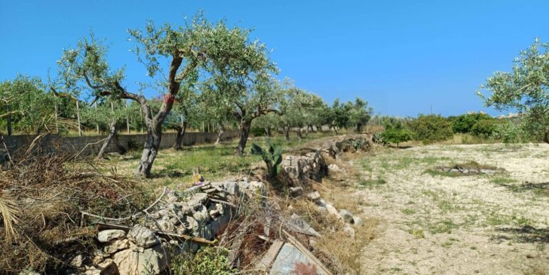 20250519162806-946998-15