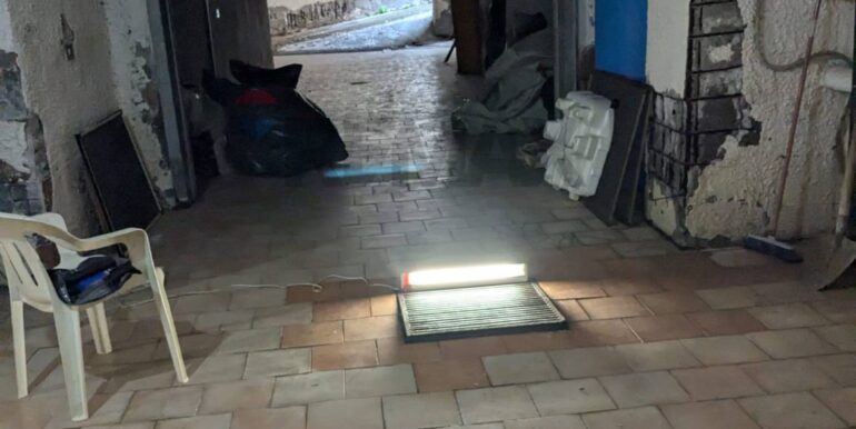 2025051995234-949863-4