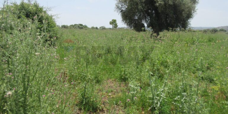 20250522174718-951064-1