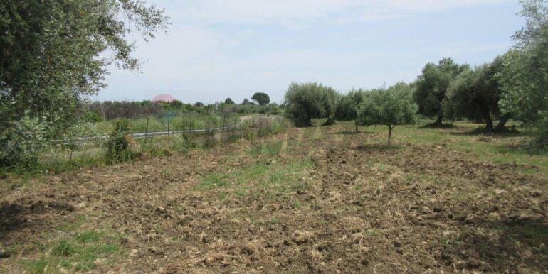 20250522174729-951064-6