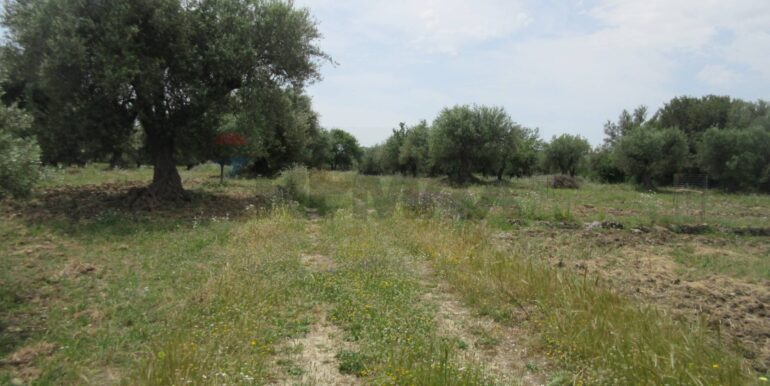 20250522174733-951064-8