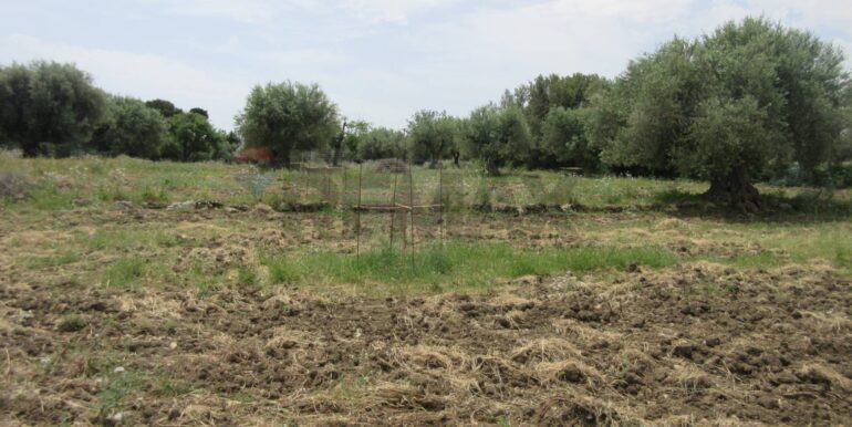 20250522174739-951064-11