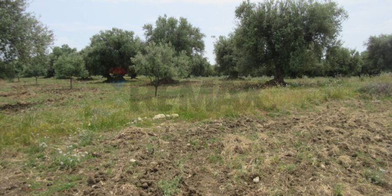 20250522174741-951064-12