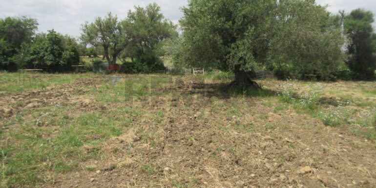 20250522174743-951064-13