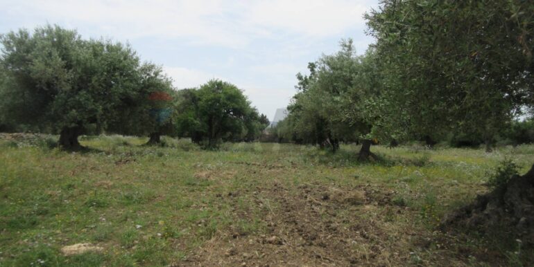 20250522174745-951064-14