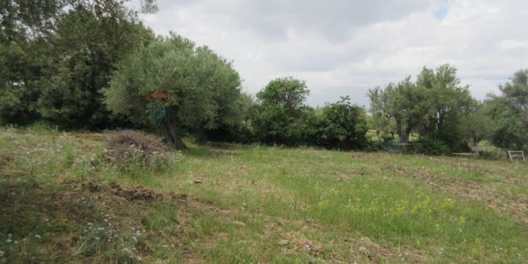 20250522174747-951064-15