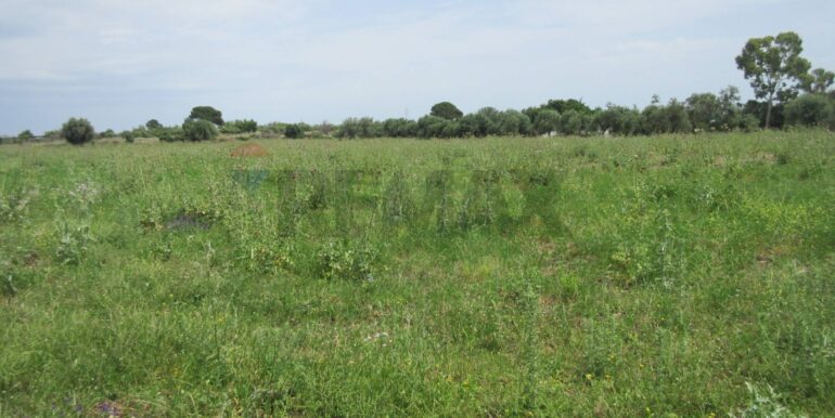 20250522174751-951064-17