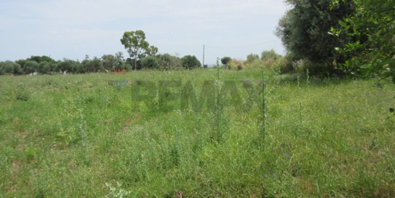 20250522174753-951064-18