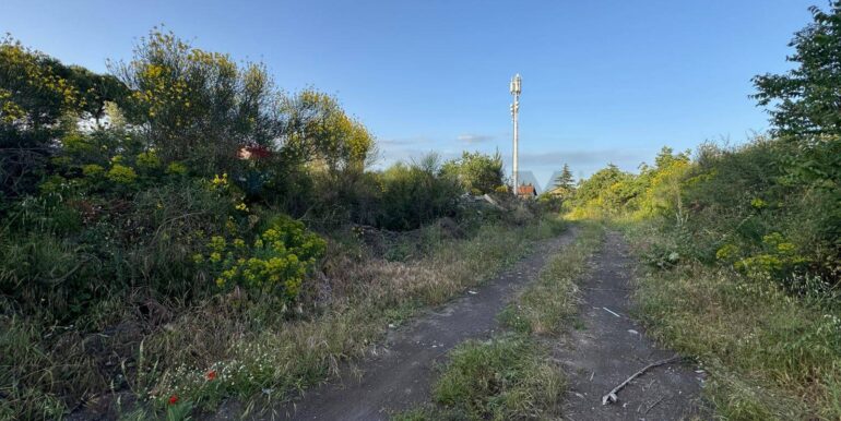 20250528113554-952033-1