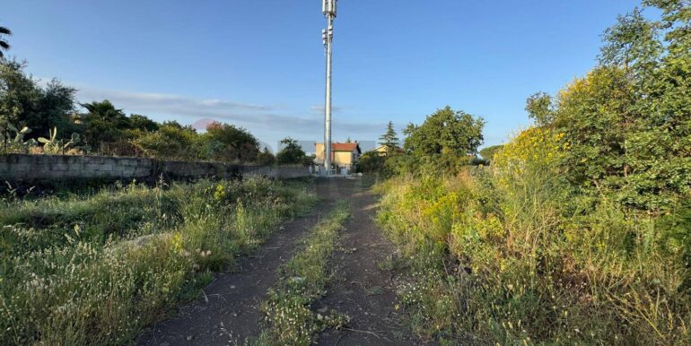 20250528113558-952033-2