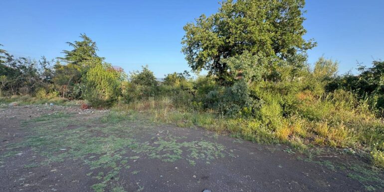 20250528113602-952033-3