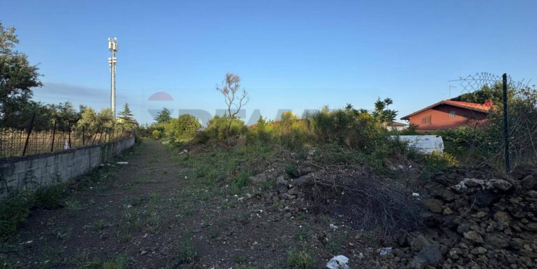 20250528113605-952033-4