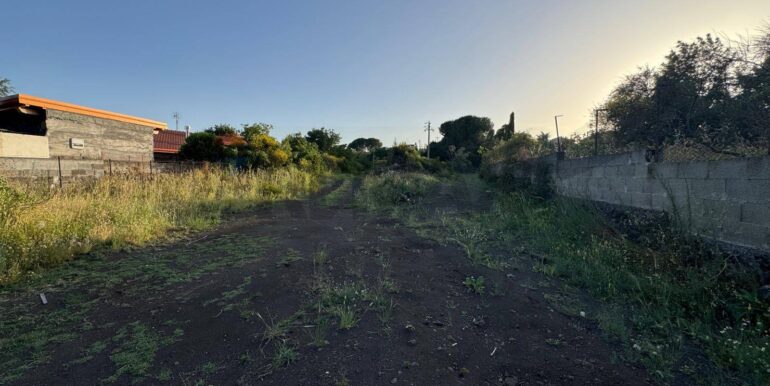 20250528113609-952033-5