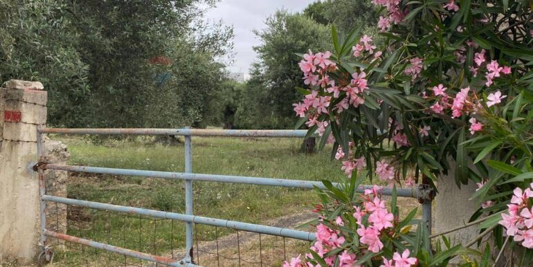 20250528175552-951064-29