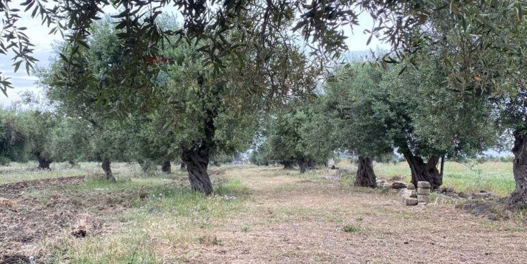 20250528175555-951064-30