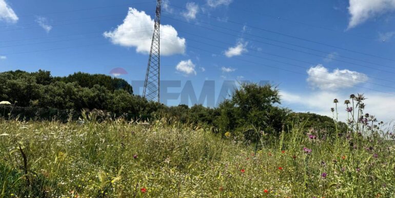 20250529112953-952342-5