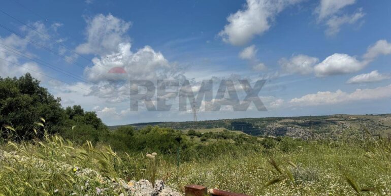 20250529113002-952342-9