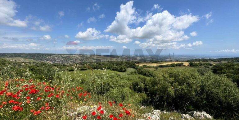 20250529113004-952342-10