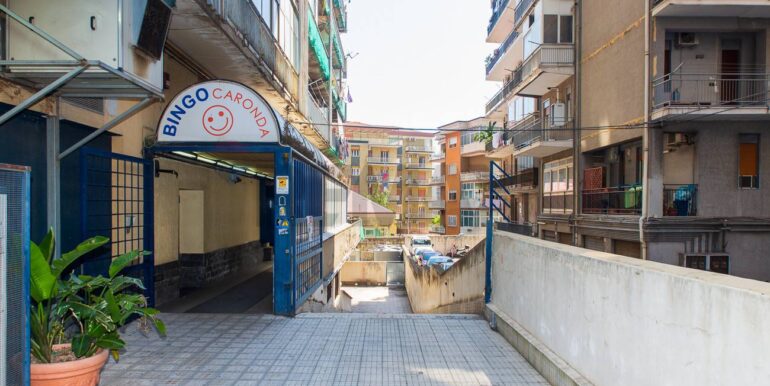 2025052994356-951824-6