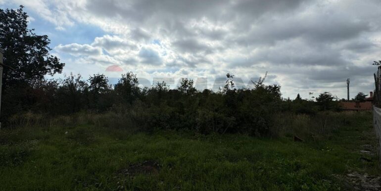 20250530104412-952524-1