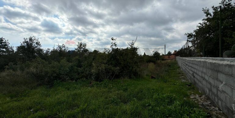 20250530104414-952524-2