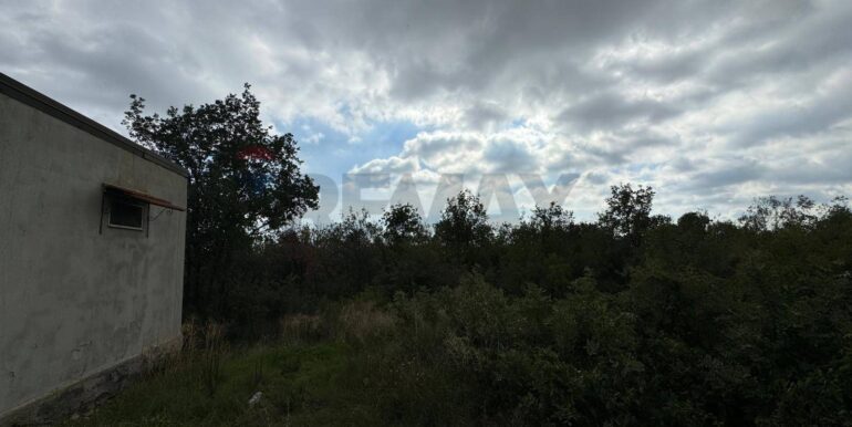 20250530104428-952524-3