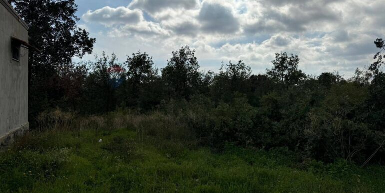 20250530104446-952524-4