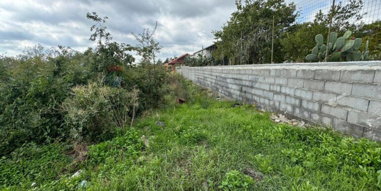 20250530104457-952524-5