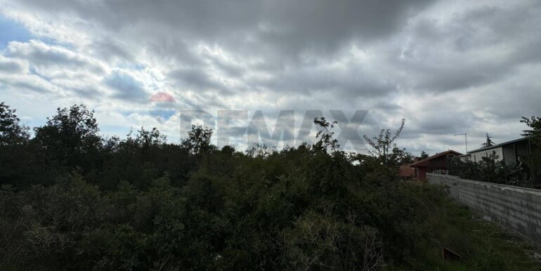 20250530104459-952524-6