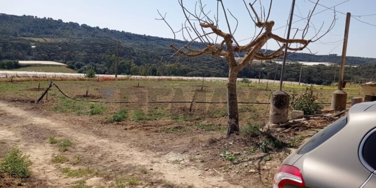 20250605111919-955709-0