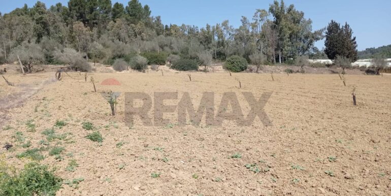 20250605111919-955709-1