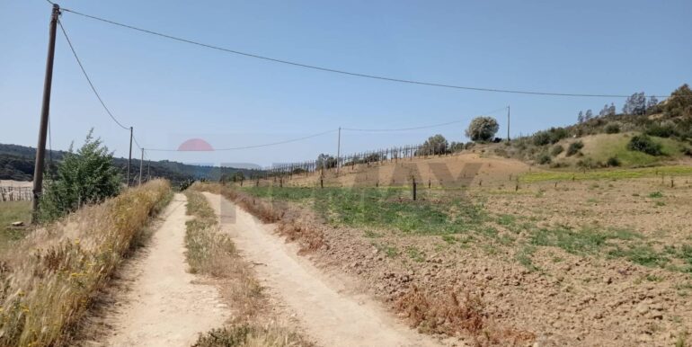 20250605111919-955709-2