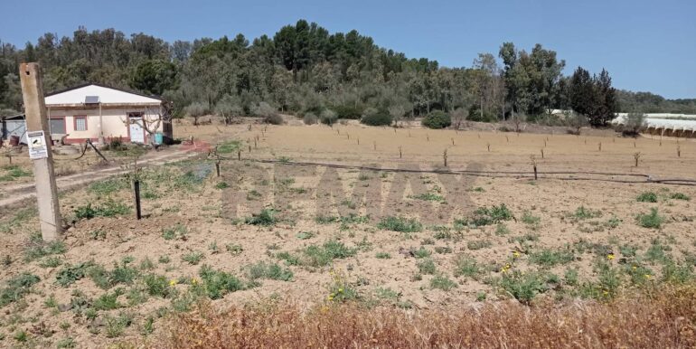 20250605111920-955709-3