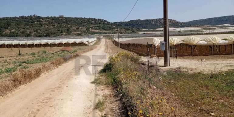 20250605111920-955709-4