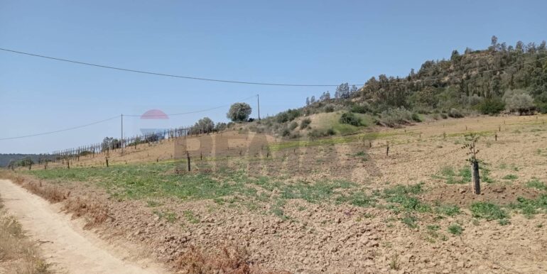 20250605111920-955709-5