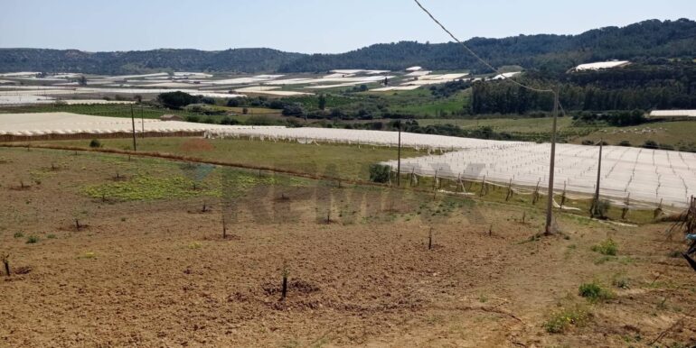 20250605111920-955709-6