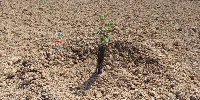 20250605111920-955709-7